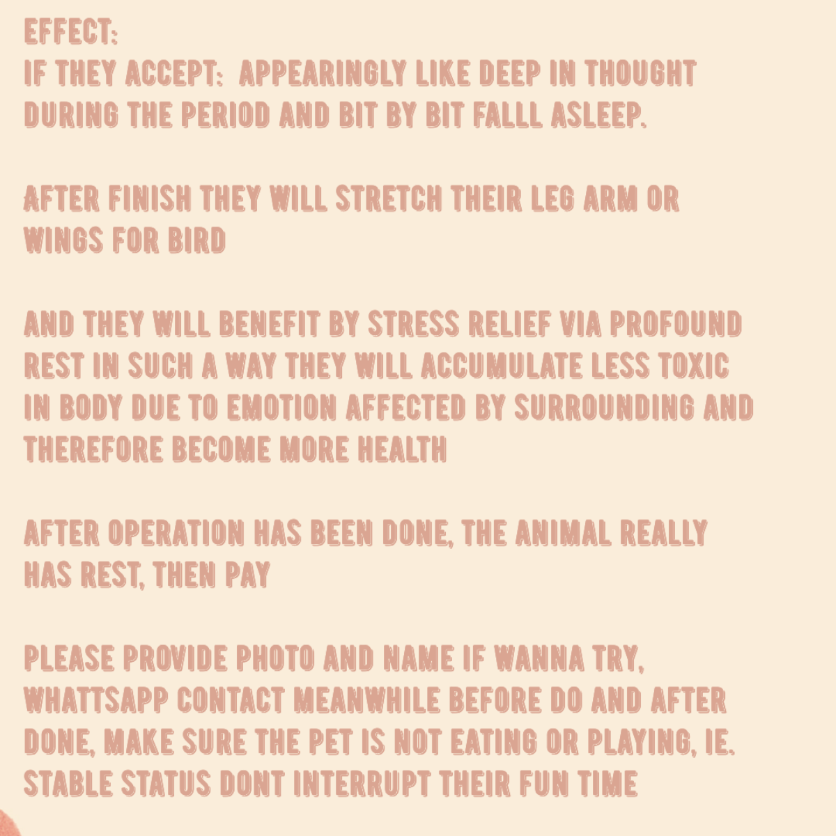 Helping hands to pets (小可愛之手)(Servicios de Reiki para los mascotes)